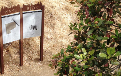 West Side Trail Project