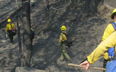 Understanding the Rim Fire