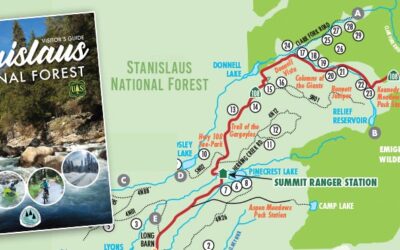 A New Tool to Explore the Stanislaus National Forest